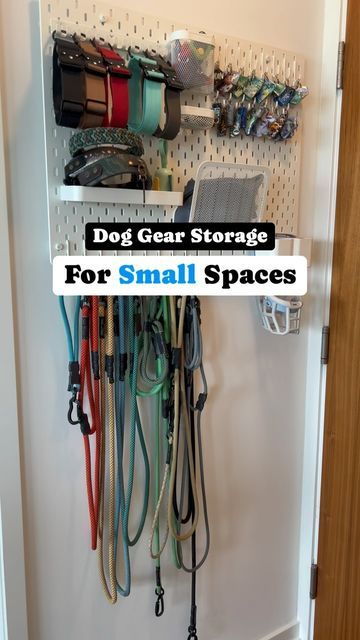 Odin & Christine | city living with a sensitive heeler mix on Instagram: "How we store our dog’s gear in our apartment.   Using this space behind the front door makes it easily accessible and uses wall space that would have otherwise been left empty. I like being able to see my gear, because it reminds me what I already have, so I don’t get over excited and try to add more. 🙃  But at $87… was this “worth it”?  No use in denying many of these storage solutions aren’t cheap. Plus, it really matches the aesthetic of the rest of the apartment.   What do you think? How do you store your gear?   Follow @cityheeler for more city dog content ✨  .  #citylife #apartmentliving #citydog #dogmom #smallspaces #organization" Organized Dog Area, Dog Organizer Ideas, Dog Wall Organization, Dog Accessories Organization, Dog Corner Apartment, Organize Dog Supplies, Dog Area Organization, Dog Stuff Organization Ideas, Dog Stuff Storage