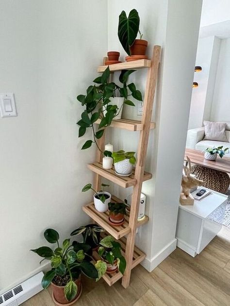 Indoor Plant Ladder, Boho Plant Shelves, Small Plants Indoor Decoration Bedroom, Leaning Plant Shelf, Wood Decor Aesthetic, Plant Shelves In Bedroom, Indoor Plant Shelf Ideas Bedroom, Plants Shelf Living Room, Book Shelf Small Apartment