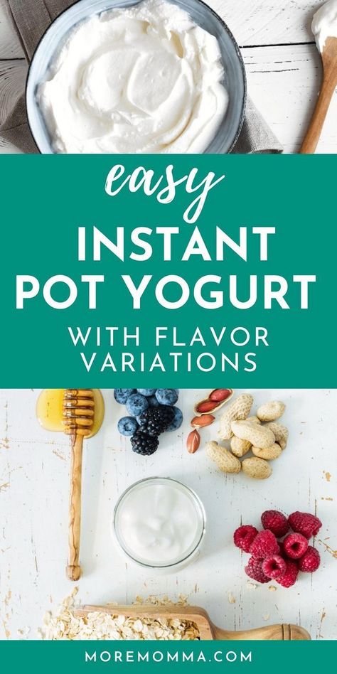 Yogurt In Instant Pot, Instant Pot Yogurt Recipe, Homemade Yogurt Recipes, Instant Pot Yogurt, Greek Yogurt Flavors, Instant Pot Cookbook, Yogurt Recipe, Honey Yogurt, Greek Yogurt Recipes