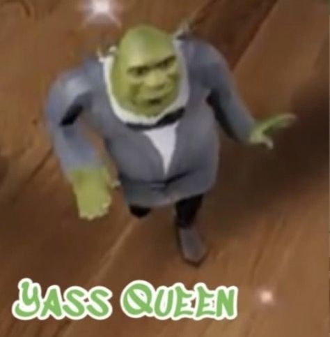 Shrek Memes, Yass Queen, Reaction Memes, Shrek, Haha Funny, Reaction Pics, Cartoon Character, Reaction Pictures, Mood Pics