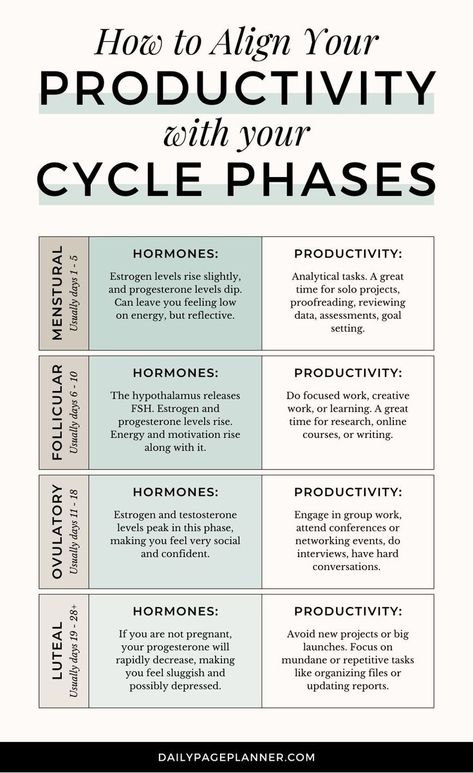 Hormone Nutrition, Cycle Phases, Menstrual Cycle Phases, Womb Healing, Healthy Hormones, Menstrual Health, Feminine Health, Happy Hormones, Hormone Health