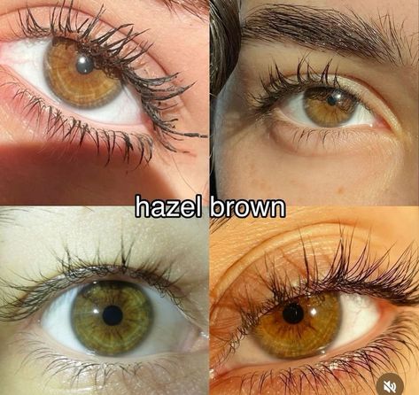 Color Hair Brown, Honey Brown Eyes, Hazel Eyes Hair Color, Brown Hazel Eyes, Brown Eye Quotes, Olive Green Eyes, Brown Hair And Hazel Eyes, Pretty Eyes Color, Hazel Brown Eyes