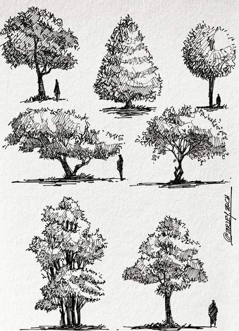 Nature Pen Drawing, Pen Landscape, Hatching Drawing, Tree Line Drawing, Ink Drawing Techniques, Landscape Pencil Drawings, Landscape Design Drawings, Pen Art Work, Arte Doodle