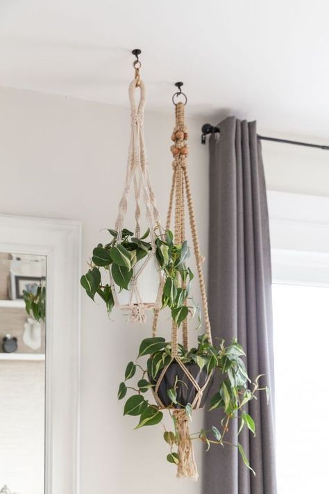 Pot Gantung, Brighter Bedroom, Plants Hanging, نباتات منزلية, Hanging Plants Indoor, Bedroom Plants, Plant Decor Indoor, Macrame Plant Hangers, House Plants Decor