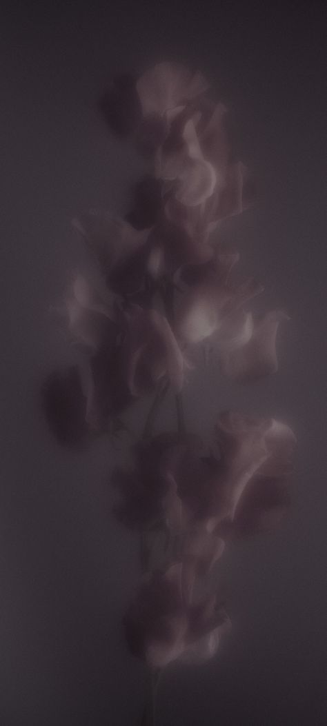 Black Flowers Wallpaper, Retro Wallpaper Iphone, Stock Wallpaper, Black Flowers, Retro Wallpaper, Dark Photography, Mobile Wallpaper, Aesthetic Wallpapers, Phone Wallpaper