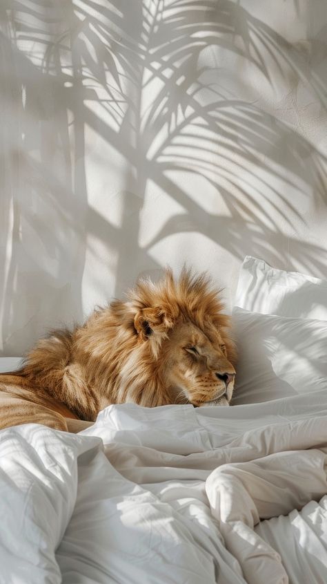 Animal bed furniture wildlife. | Free Photo - rawpixel Lion Aesthetic Wallpaper, Animal Backgrounds Wallpapers, Wallpaper Iphone Animals, Cool Animal Wallpapers, Wallpaper Sleep, Image Of Lion, Cute Animals Wallpaper, Lion Wallpapers, Lion Aesthetic