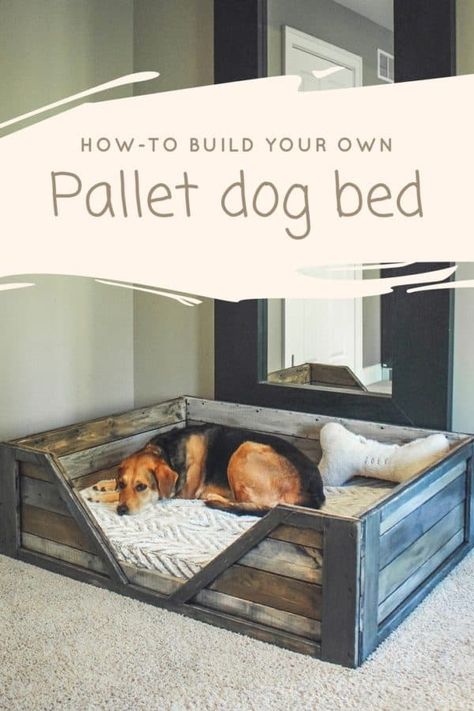 Pallet Dog Bed, Pallet Dog Beds, 1001 Pallets, Diy Dog Bed, Pallet Bed, Milk Crate, Dog Rooms, Pallet Ideas, Diy Pallet Projects