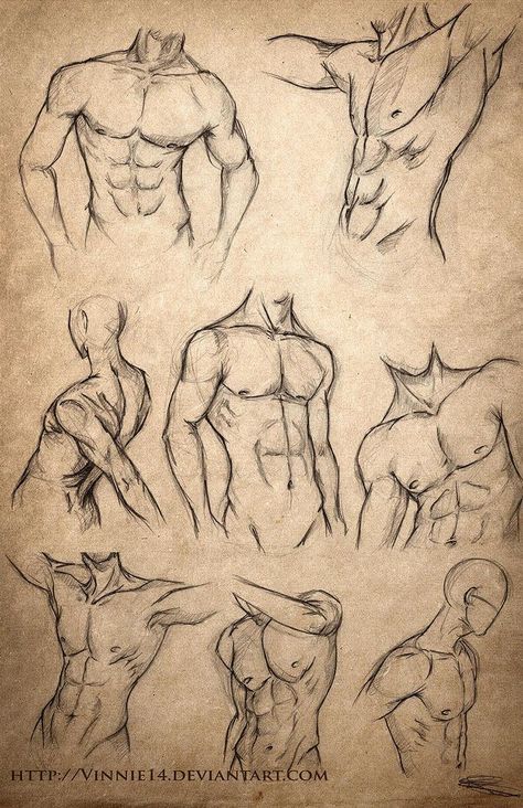 20 Human Anatomy Drawing Ideas and Pose References - Beautiful Dawn Designs Male Body Sketches, Oc Maker, Drawing Hands, Body Sketches, Human Anatomy Drawing, Different Poses, Drawing Faces, Anatomy Drawing, Body Drawing