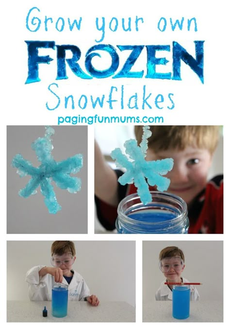 Grow your own Frozen themed Snowflakes - Science and fun rolled into one! Snowflakes Science, Frozen Activities, Frozen Crafts, Disney Activities, Frozen Snowflake, Frozen Themed, Frozen Theme, Childhood Development, Frozen Party