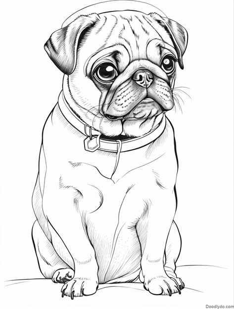 Pug Color Page Check more at https://doodlydo.com/pug-color-page/ Black Pug Drawing, Pug Drawing Easy, Pug Dog Drawing, Pug Coloring Page, Pugs Drawing, Pug Sketch, Burning Pictures, Pug Drawing, Clip Art Animals