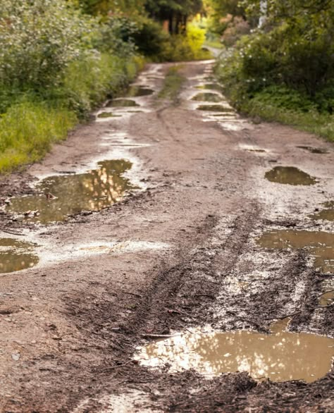 Dirt Road Anthem, Waiting For Godot, Viking House, Tree Story, Last Mile, Dirt Roads, Fantasy Kingdom, City Scape, Material Textures