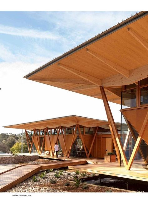 Macquarie University, Timber Architecture, Bamboo Architecture, Tropical Architecture, Timber Buildings, Wood Architecture, Roof Architecture, Wooden Buildings, Wooden Structure