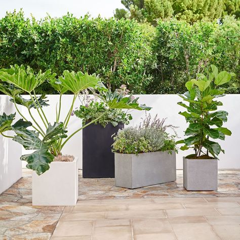 Outdoor holiday planters