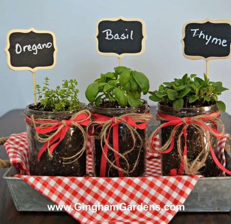 Stop by Gingham Gardens and learn how to make an Easy DIY Mason Jar Herb Garden. A Mason Jar Herb Garden is not only practical, it adds a touch of Farmhouse charm to your home. #farmhouseherbgarden #indoorherbgarden Container Gardening Herbs, Jar Plants, Herb Basket, Garden In Kitchen, Jar Herb Garden, Mason Jar Plants, Colorful Perennials, Inexpensive Diy Gifts, Herb Bouquet