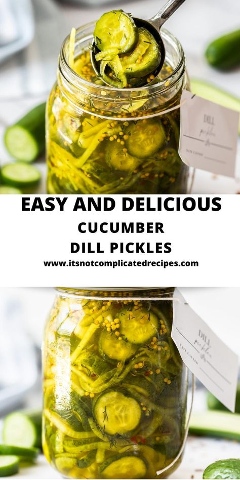 Homemade Cucumber Dill Pickles – a delicious addition to your kitchen. With this recipe, I will show you how easy it is to make your own at home. A balanced mix of vinegar, sugar, spices and dill produces a mild, slightly sweet pickle. You will find many ways to use these crunchy, tangy Dill Pickles. Bread N Butter Pickle Recipe, Pickle Recipes Homemade, Bread And Butter Pickles, Dill Pickle Recipe, Pickled Cucumbers, Butter Pickles, Complicated Recipes, Cucumber Dill, Cucumbers And Onions