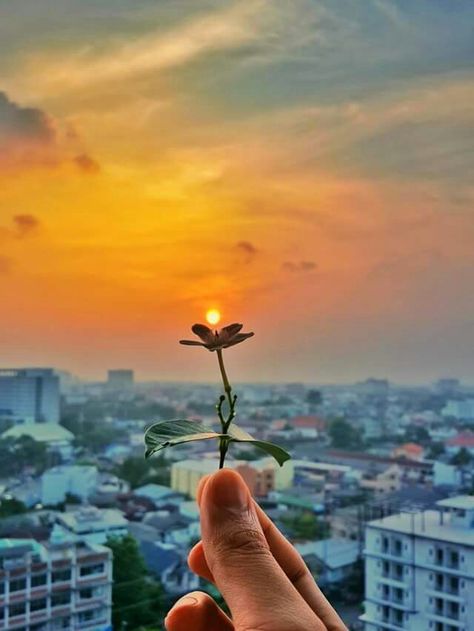 Happiness Photo Photographs, Pop Of Color Photography, Focusing On Yourself Aesthetic Pictures, Calm Flowers, Focus Aesthetic, Sand Wallpaper, Focus Pictures, Illusion Photography, City Love