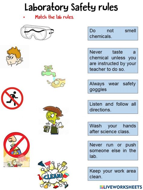 Science Lab Safety Worksheet, Lab Safety Worksheet, Lab Safety Poster Drawings, Safety Rules Worksheet, Laboratory Safety Rules, Science Lab Rules, Science Lab Safety Rules, Science Safety Rules, Lab Safety Poster