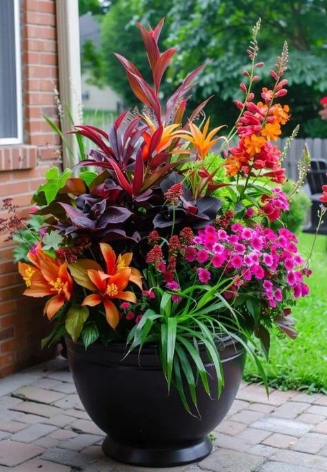 Outdoor Planter Ideas, Garden Planter Ideas, Summer Planter, Container Garden Ideas, Teacup Gardens, Tropical Garden Design, Container Garden Design, Potted Plants Outdoor, Container Gardening Flowers