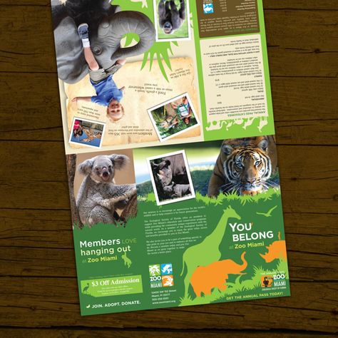 Zoo Brochure, Zoo Signage, Zoo Project, Brochure Examples, Photography Brochure, Voucher Design, Report Card Template, Animal Templates, Graphic Design Brochure