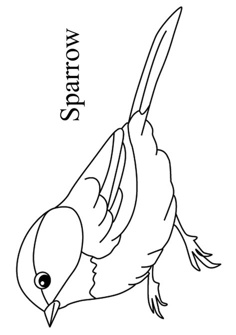 Shading Pencil, Sparrow Drawing, Sparrow Tattoo Design, Drawing S, Minion Coloring Pages, Horse Art Drawing, Bird Coloring, Family Coloring Pages, Owl Applique