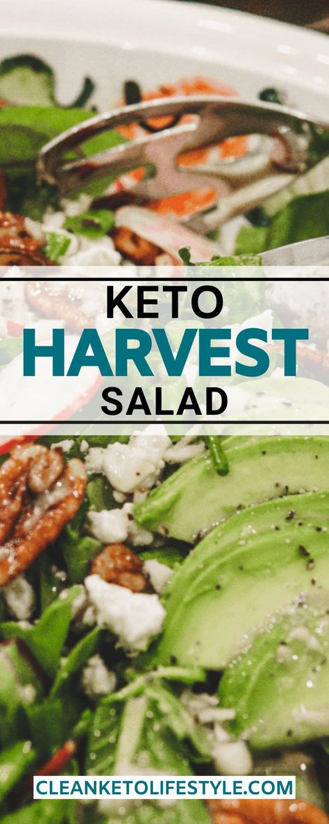 Keto Fall Salad Recipes, Keto Wedge Salad, Healthy Keto Salads, Keto Green Salad, Keto Friendly Salads, Low Carb Salads Healthy, Low Carb Thanksgiving Sides, Keto Spinach Salad, Keto Salads Recipes