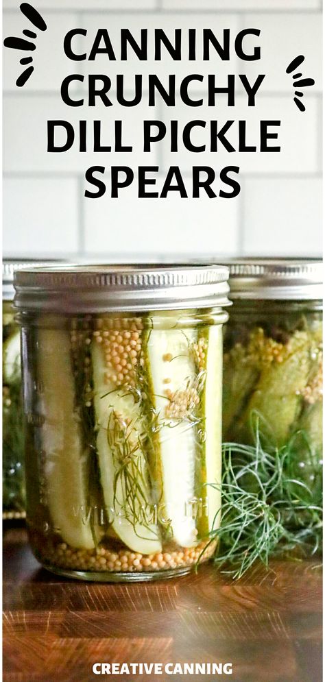 Take your passion for pickling a notch higher with our vegetable canning recipes tailored for canning enthusiasts. At the heart of our Best Dill Pickle Recipe for Canning lies the iconic dill pickle spears, cherished by generations. This guide emphasizes the significance of selecting pristine ingredients, ensuring that the pickling cucumbers are of the finest quality, and the dill and pickling spice are fresh. Dive in and savor the tangy and crunchy brilliance of homemade pickles. Pickles Refrigerator, Easy Pickles, Homemade Dill Pickles, Making Dill Pickles, Refrigerator Pickles Dill, Garlic Dill Pickles, Homemade Pickles Dill, Kosher Dill Pickles, Pickle Recipes Homemade