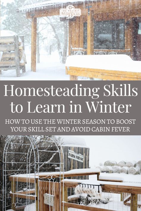 Homesteading In Winter, Winter Homesteading Projects, Winter Homestead Projects, Basic Homestead Skills, Homestead Skills To Learn, Tiny Homestead Ideas, Home Steading For Beginners, Homesteading Skills To Learn, Homesteading In The City