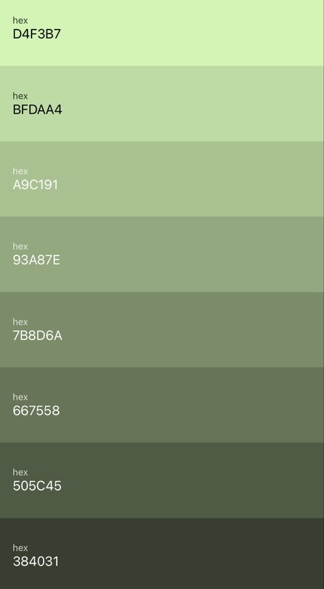 Aesthetic Green Colour Palette, Sage Green Shades Colour Palettes, Sage Green Tones Palette, Green Palate Color Palettes, Canva Sage Green Code, Sage Green Code Color, Sage Green Paint Swatch, Cute Green Color Palette, Dark Green Pallete Color