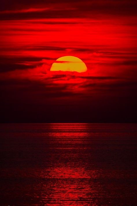 Red sunset Cool Red Pictures, Red Ocean, Sunset Red, Image Nature, Red Sunset, Red Sun, Amazing Sunsets, Sunset Wallpaper, Red Sky