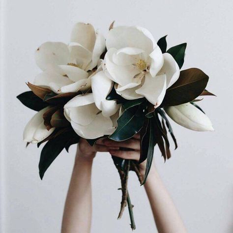 Magnolia Bouquet, Babies Breath, Floral Inspiration, Arte Floral, Flora Fauna, Beautiful Blooms, Calla Lily, Ikebana, Plants Flowers