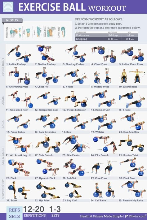 Exercise Ball Workout, Ball Exercise, Fitness Studio Training, Ball Workouts, Stability Ball Exercises, Ball Workout, Gym Antrenmanları, Swiss Ball, Gym Ball