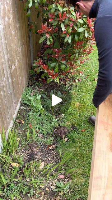 Acres Lawn Care on Instagram: "How to get a perfect straight edge using some straight timber #wood #perfect #straight #lawnedging #satisfying #satisfyingvideos #howto #easy #amazing #tools #pretty #kentandstowe" Garden Surround Ideas, Easy Home Garden, Bark In Garden Ideas, Flower Beds On Side Of House, Easy To Care For Landscaping, Small Border Garden, Easy Garden Edging Ideas, Gardening Front Of House, Natural Garden Edging