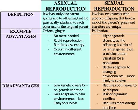 Asexual vs Sexual Reproduction in Plants Summary - HSC Biology (Module 5) Asexual Reproduction In Plants, Reproduction In Plants, Asexual Reproduction, Science Room, Biology Resources, Genetic Variation, Biology Notes, Aesthetic Study, Biology