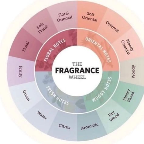 When searching for the perfect fragrance, it can be challenging where to start, that's why i have taken time to categorize different scents Scent families are broken up into four main categorize; Floral, Oriental, woody, and fresh ; each with their own sub families (SWIPE TO SEE THE FRAGRANCE WHEEL) 1. The FLORAL scent family is one of the most common families and is used in many well-known perfumes; it is often in women fragrances. They usually smell like fresh flowers, others fruity or sw... Perfume Wheel, Scent Families, Fragrance Wheel, Different Scents, Saving Grace, Woody Notes, Saved By Grace, Soft Floral, Floral Notes