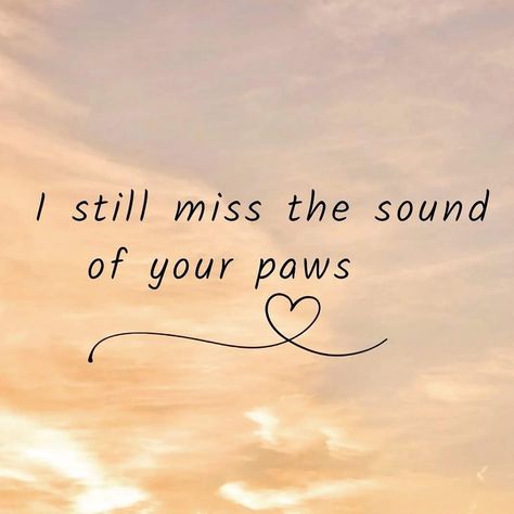 Lost My Dog Quotes, Lost Cat Tattoo, Losing A Pet Quotes, Miss My Dog, Dog Poems, Dog Quotes Love, Heaven Quotes, Dog Heaven, Pet Remembrance