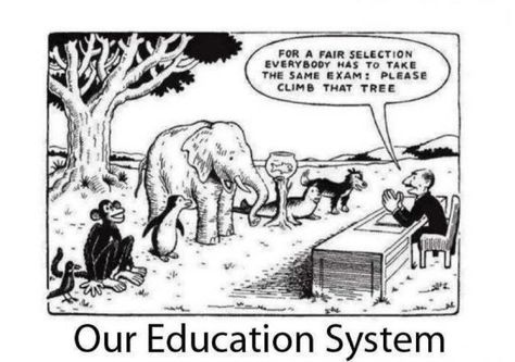 This cartoon shows a flaw the education system in the U.S. This ad uses a fish, elephant, seal, and other animals as symbols of people having different learning styles. This, however, is exaggeration because they use multiple species in this ad, whereas in reality, humans are one species with different learning abilities. An example of convention is how the animals are lined up in front of the human giving the instructions. It shows how they are in a class paying attention to the teacher. Learning Disorder, Education System, Teacher Humor, Education Quotes, Albert Einstein, Teacher Stuff, A Sign, The Master, Logic