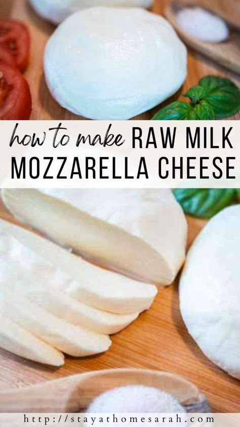 Fresh Mozzarella Recipe, Make Mozzarella Cheese, Homemade Mozzarella Cheese, Recipes With Mozzarella Cheese, Raw Dairy, Cheese Recipes Homemade, Fruit Leather Recipe, Cheese Making Recipes, Pizza Lasagna