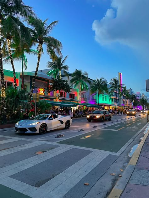 When visiting Florida, a lovely area to explore is Ocean Drive near Miami Beach. 
Tips: bring your own bike or rent one of the citybike to enjoy a good ride on that street. Miami Best Places, Miami Fl Aesthetic, Miami Asthetic Picture, Miami Rich Aesthetic, Miami Travel Aesthetic, Miami College Aesthetic, Maimi Aesthetic, Rich Miami Aesthetic, Miami Aesthetic Beach