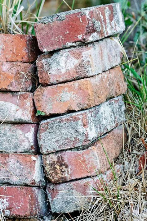 Bricks In Garden, Leftover Bricks, Brick Garden Edging, Brick Garden, Garden Wallpaper, Outdoor Landscape, Have Inspiration, In Front Of House, Garden Edging