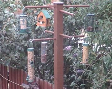 ... new bird feeding station Bird Feeder Stands, Bird Feeder Station, Backyard Birds Sanctuary, Backyard Birds Feeders, Wood Arbor, Bird Feeder Poles, Bird Feeding Station, Homemade Bird Feeders, Bird Feeding