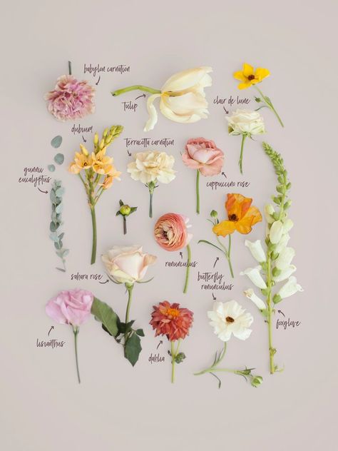 Spring pastel wedding bouquet breakdown | Blushing Rose Floral, Utah Wedding Florist Flower Guide, Flower Names, Pastel Wedding, Wildflower Wedding, Deco Floral, Utah Wedding, Wedding Flower Arrangements, Utah Weddings, Arte Floral