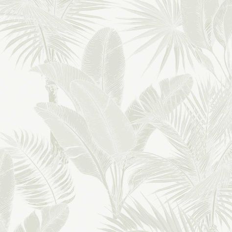 Hamptons Wallpaper, Sage Green Wallpaper, Palm Leaf Wallpaper, Palm Wallpaper, Latest Wallpapers, Tropical Wallpaper, Wallpaper Trends, Modern Beach, Productivity Hacks