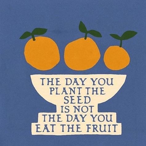 "The day you plant the seed is not the day you eat the fruit." #quotes #weresoinspired Plakat Design Inspiration, Manifestation Board, Happy Words, 2023 Vision, Note To Self, Pretty Words, Beautiful Words, Mantra, Cool Words