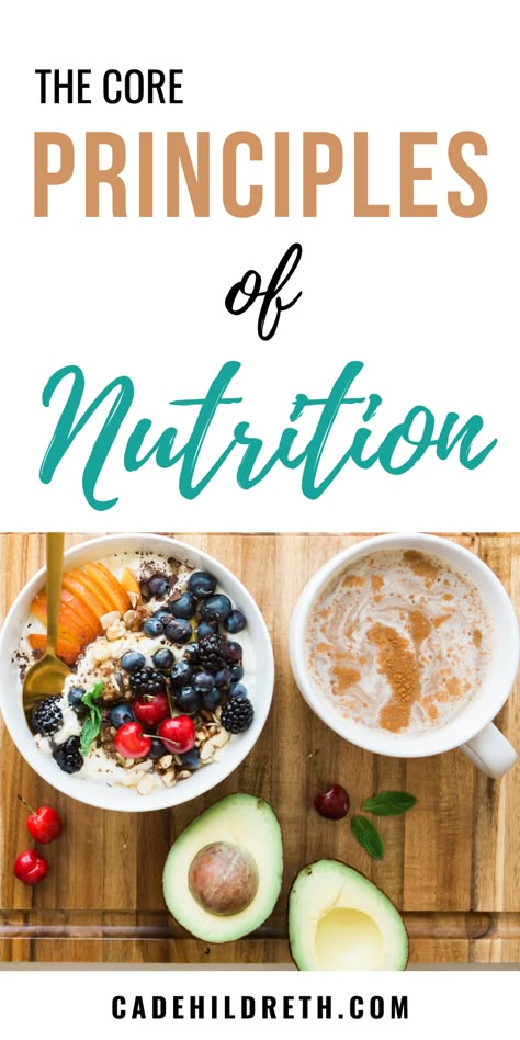 Nutrition is essential to all types of health and wellness, from physical to emotional. Unfortunately, you can’t out-train a bad diet, which is why it’s essential to learn the principles of nutrition.  While many people make nutrition out to be complicated, the core principles of nutrition are simple and learnable. Improve Nutrition, Bad Diet, Best Fat Burning Foods, Nutrition Guide, Holistic Nutrition, A Balanced Diet, Proper Nutrition, Nutrition Plans, Nutrition Health