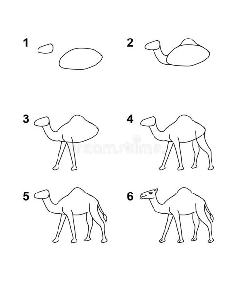 Camel Drawing For Kids, Camel Drawing Easy, Camel Drawing, Camel Illustration, Camel Painting, Camel Craft, Camels Illustration, Desert Drawing, Camel Art