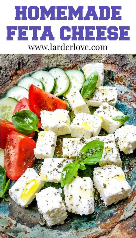 Make Feta Cheese, Homemade Feta Cheese, Homemade Feta, Home Made Butter, Yogurt Making, Cheese Recipes Homemade, Dairy Substitutes, Feta Cheese Recipes, Cooking And Baking Recipes