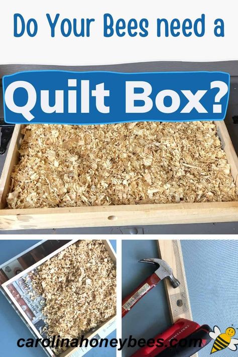 Build a Winter Quilt Box for Your Bees Building Bee Boxes, Bee Boxes Diy, Bee Box Plans, Repurposed Bee Boxes, Small Space Beekeeping, Honey Bee Box, Apiary Beekeeping, Painted Bee Hives, Backyard Beehive