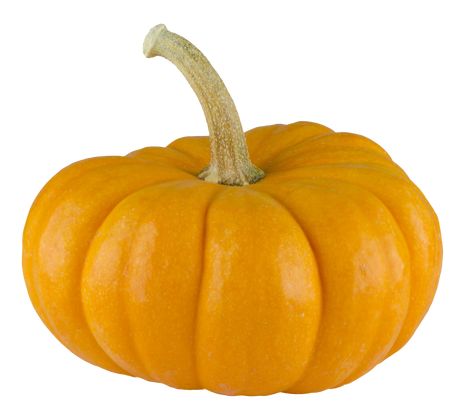 Squash Acorn, Pumpkin Vegetable, Carving Pumpkins, Food Png, Pumpkin Png, Wild Food, Winter Squash, Pumpkin Faces, Canned Pumpkin