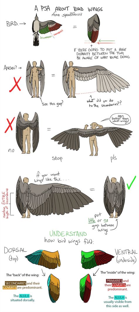 Wings Drawing, Bird Wings, 캐릭터 드로잉, Guided Drawing, Art Tutorials Drawing, Drawing Base, Drawing Reference Poses, Drawing Tips, Drawing Techniques