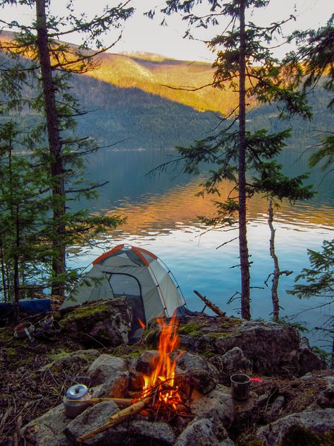 🇨🇦 Campsite (Slocan, BC) by Katie - 凯迪 Lakeside Camping, Camping Photo, Camping Inspiration, Camping Photography, Camping Aesthetic, Festival Camping, Image Nature, Camping Locations, Camping Spots